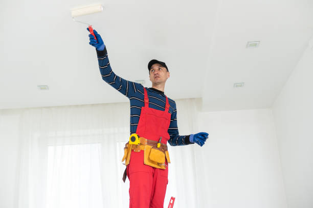 Professional Dry wall and painting in Milwaukee, WI